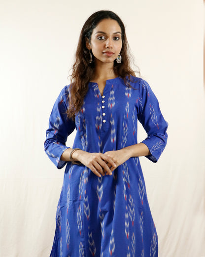 Neel Tara Handwoven Ikat A Line Kurta- both side pocket